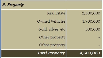 Net Worth Calculator