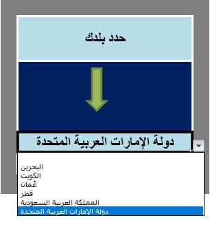 Arabic VAT Invoice Template