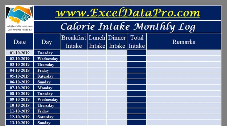 calorie and macro tracker excel template