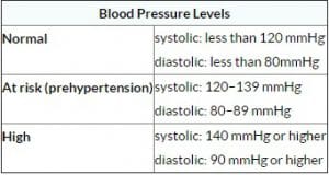 Download Monthly Blood Pressure Log With Charts Excel Template ...