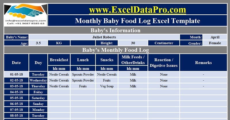 Download Monthly Baby Food Log Excel Template