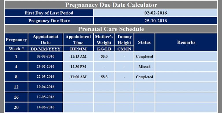 Download Prenatal Care Schedule Excel Template ExcelDataPro
