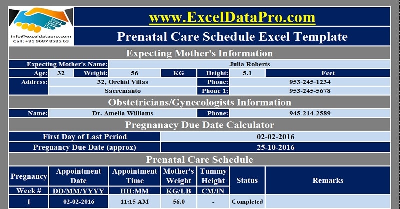 Download Prenatal Care Schedule Excel Template