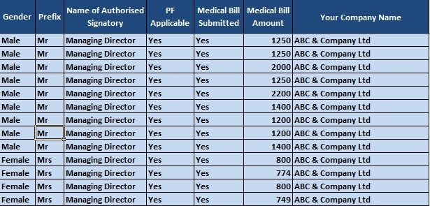 Salary Sheet With Attendance Register