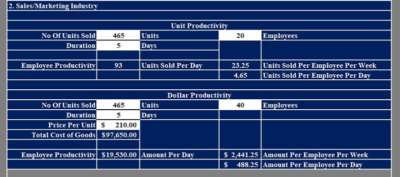 Employee Productivity Calculator
