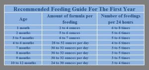 Download Breastfeeding Log With Feeding Guide Excel Template - ExcelDataPro