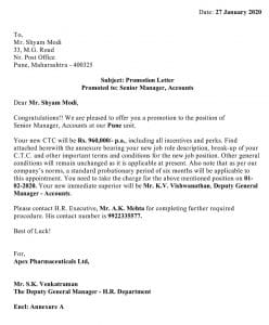 Download Employee Promotion Letter Excel Template - ExcelDataPro